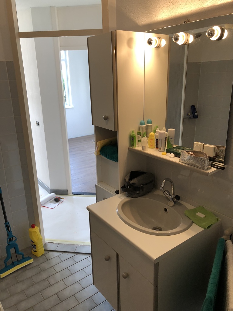 Badkamer en toilet renovatie familie Doorm